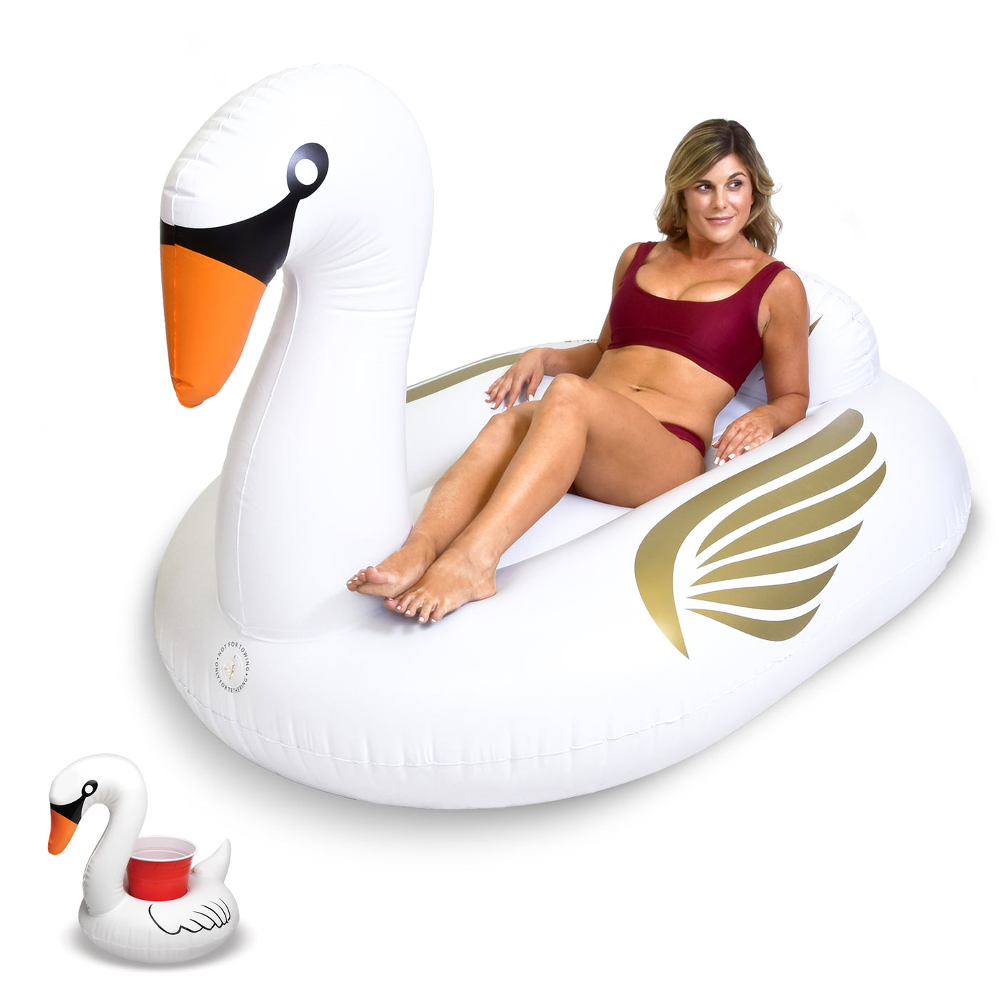 Best Giant Ride-On Pool Floats for Adults & Kids